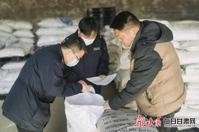 酒泉海关工作人员对出口种子进行现场查验取样