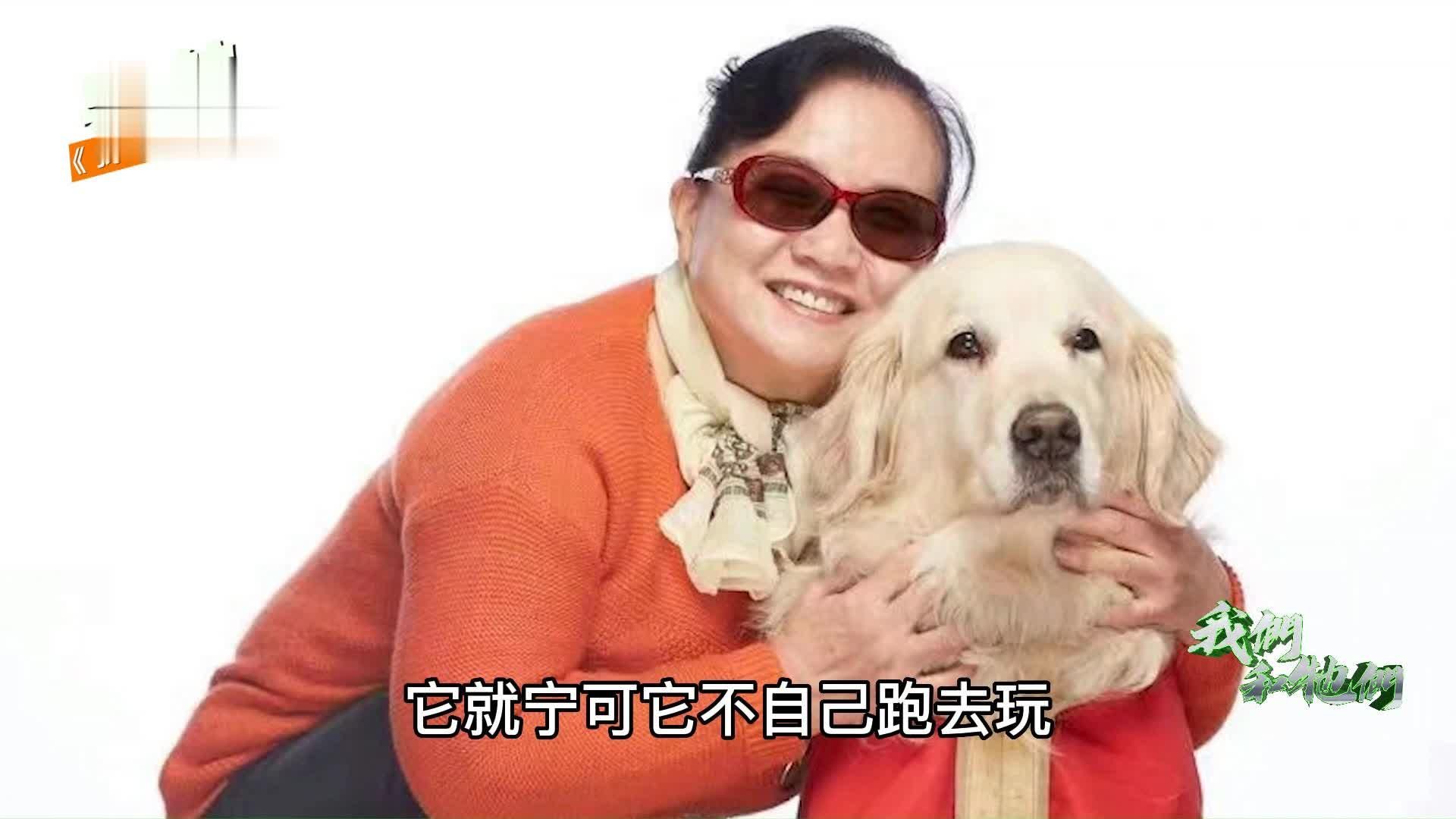 导盲犬贝贝陪伴主人十年后离世，主人痛哭，遗憾没能好好送走它