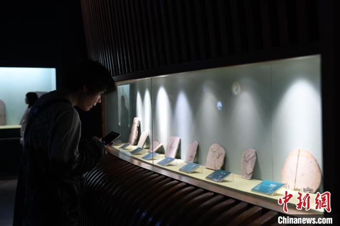 图为游客在甘肃省博物馆参观古生代海洋动物化石。　戴文昌 摄