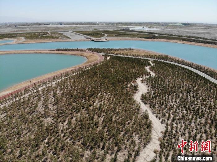 甘肃通报林草执法反面典型案例多措形成资源保护高压态势