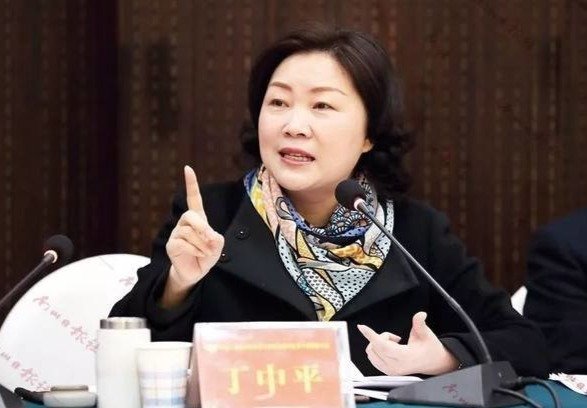 南川区委书记丁中平任重庆市民政局局长