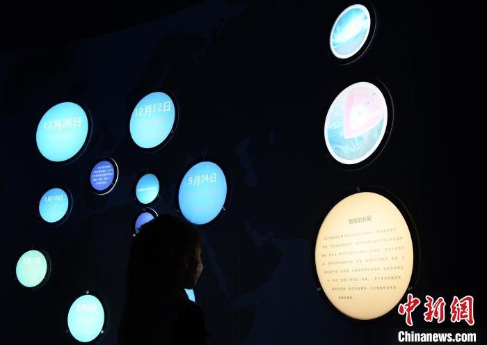 探访古生物之旅：让游客感受古生物化石的“前世今生”