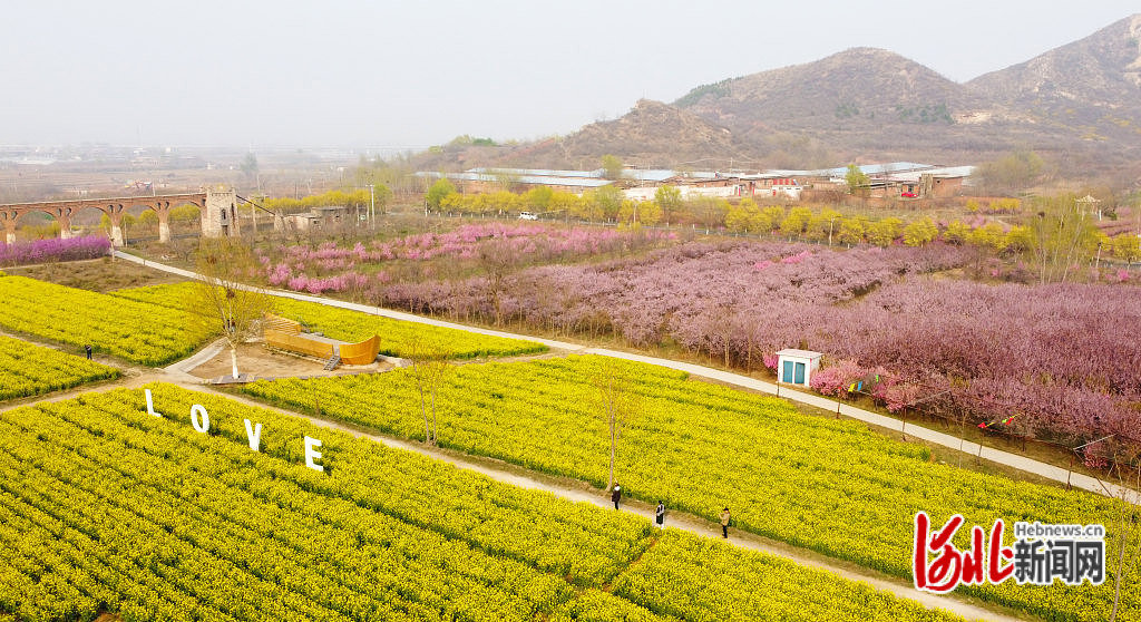 3月28日，游客在石家庄市鹿泉区岭底村赏花拍照。