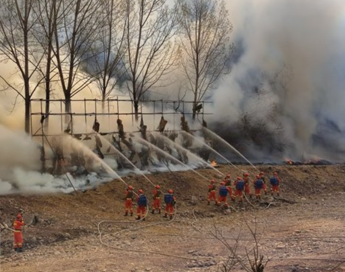 现场直击！河南省2023年度森林火灾扑救应急演练成功举行