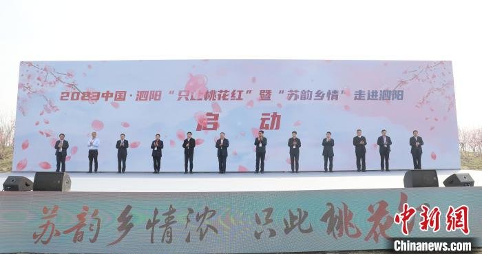 “美丽风景”蝶变“美丽经济”：江苏泗阳“桃”产业年产值突破15亿元