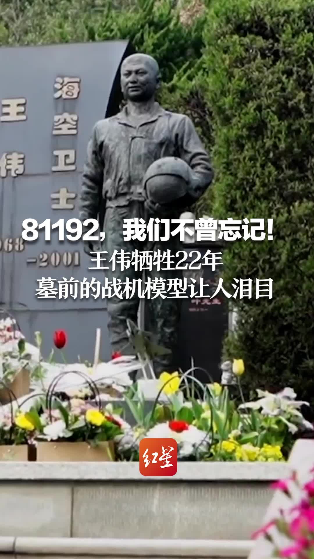 81192，我们不曾忘记！王伟牺牲22年 墓前的战机模型让人泪目