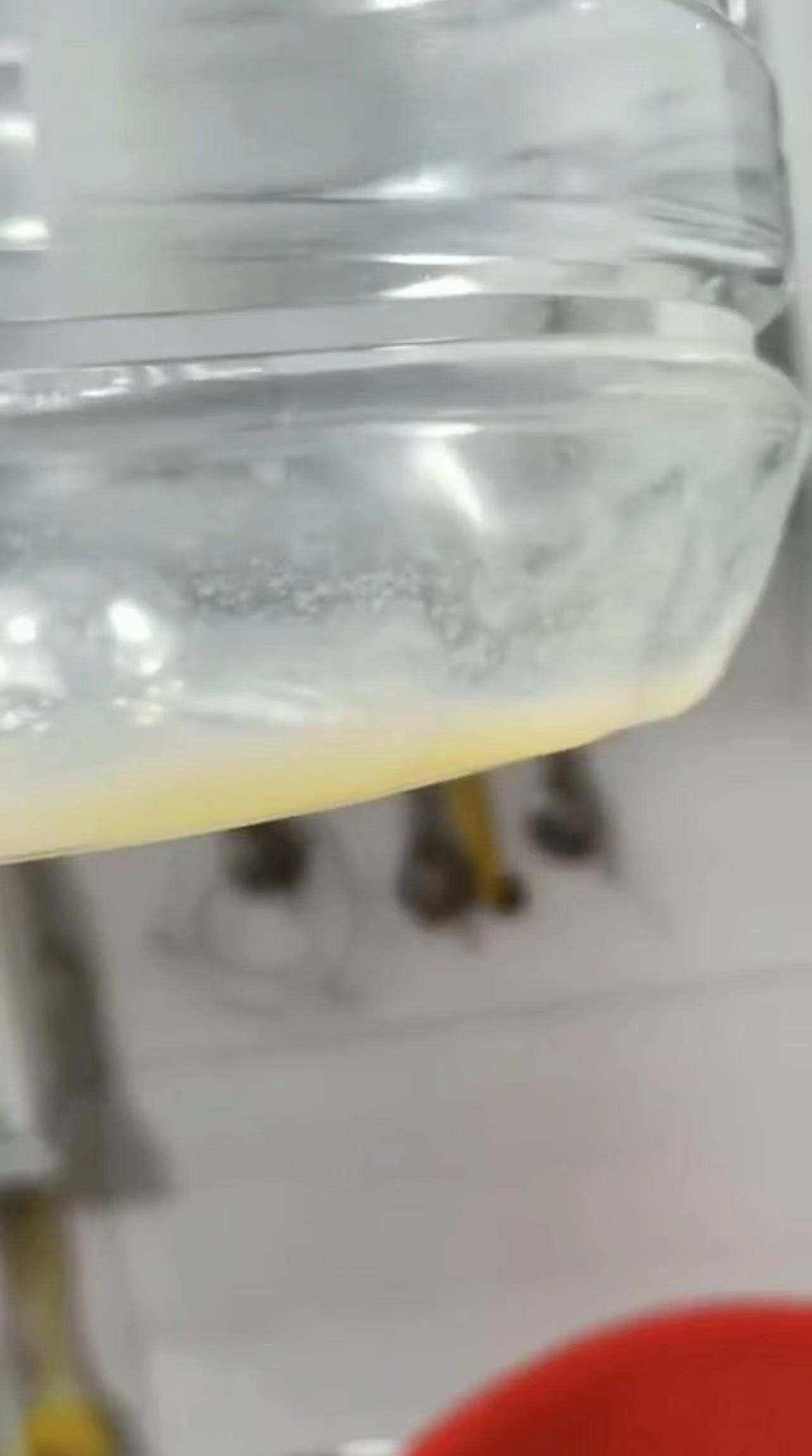 袁先生家自来水中有黄色沉淀物并伴有白色颗粒状物质。受访者供图