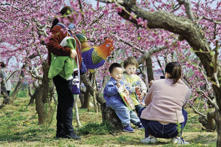 桃花朵朵开,游客赏花来。摄影 记者 薛俊 朱超逸丁