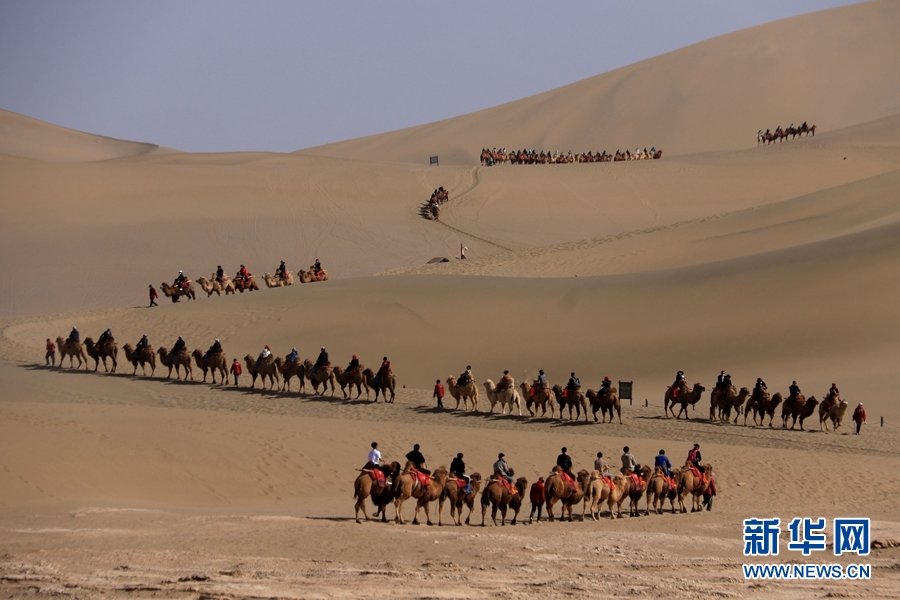 敦煌真“游”你的！这个春天热闹极了