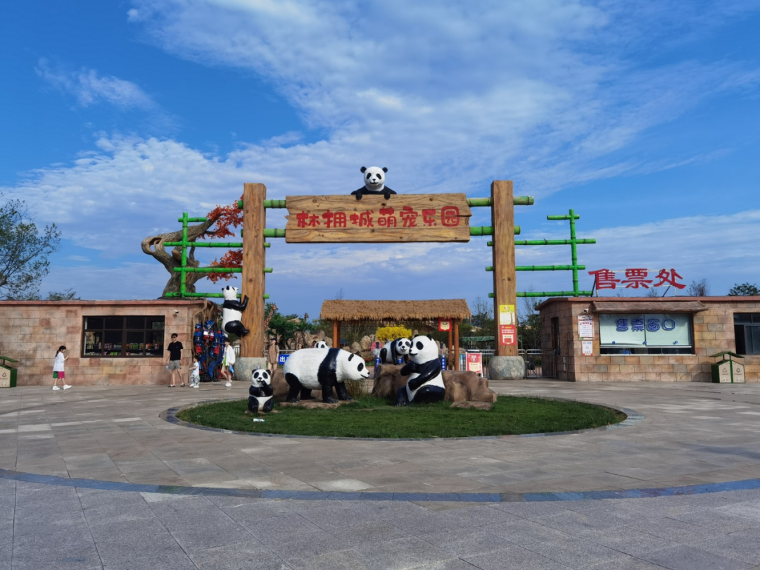 卡式呼吸检测是什么「亳州旅游年卡」来了！一卡玩转17个热门景区 超级省！_https://www.jmylbn.com_新闻资讯_第17张