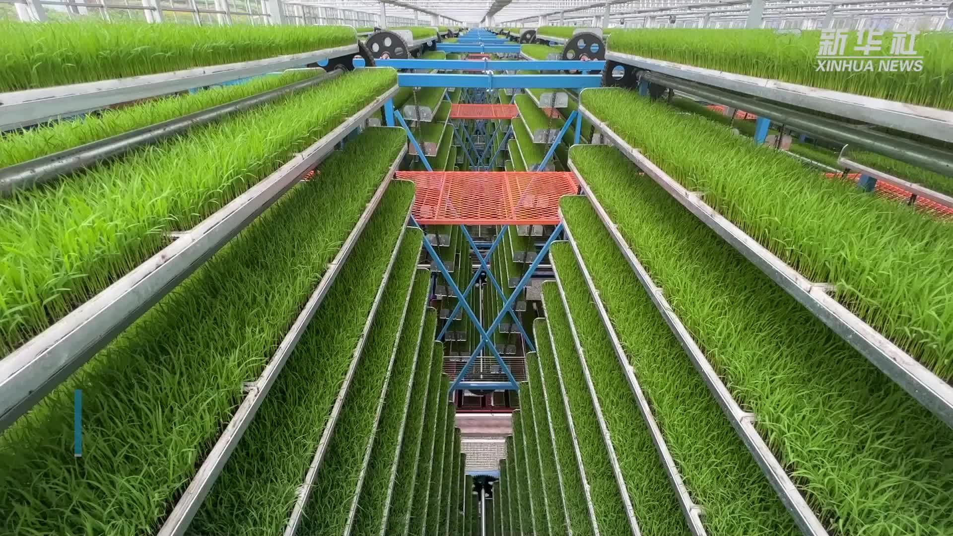 重庆永川：科技赋能农业生产