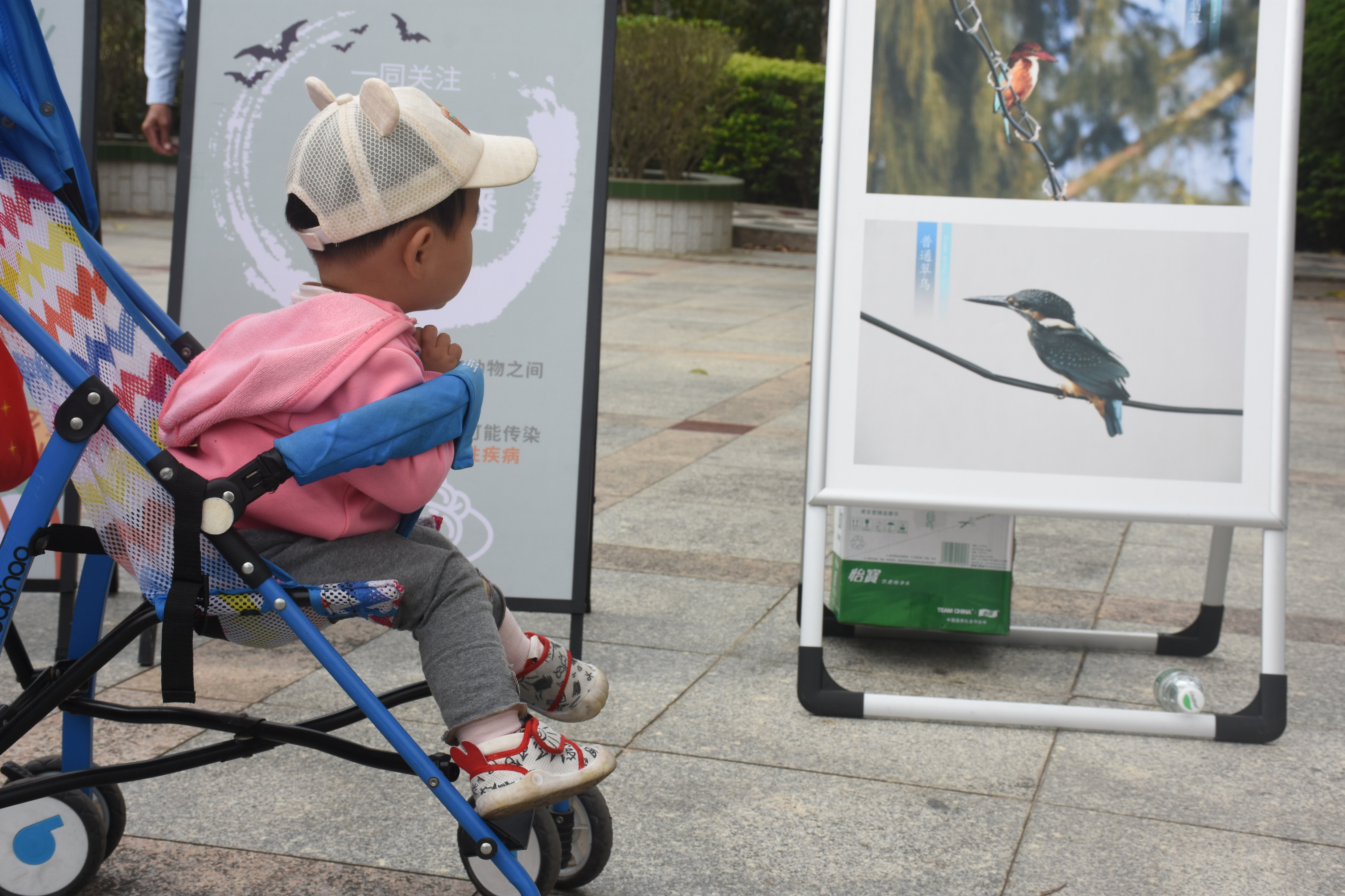 保护野生鸟类，创建绿美家园——海丰县开展“爱鸟周”宣传活动