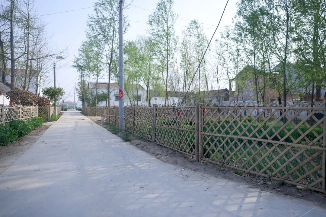 旧貌换新颜!丰县这个村 “焕”出新生活!凤凰网江苏_凤凰网