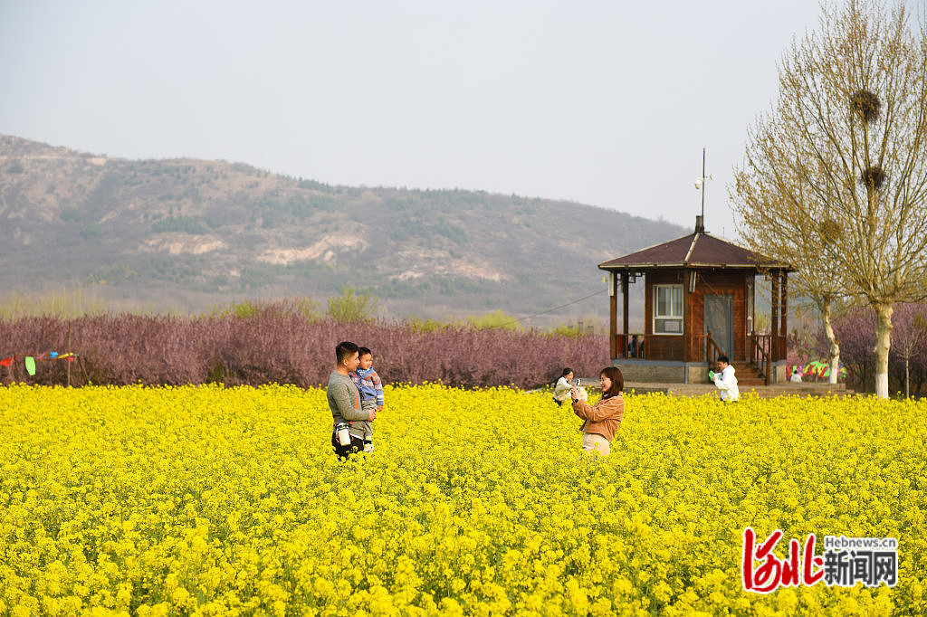3月28日，游客在石家庄市鹿泉区岭底村赏花拍照。