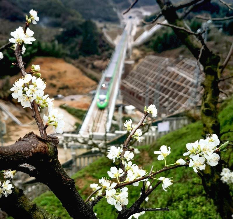 在兴泉铁路上，“绿巨人”复兴号动车组列车穿行在山间。 曹刚 摄