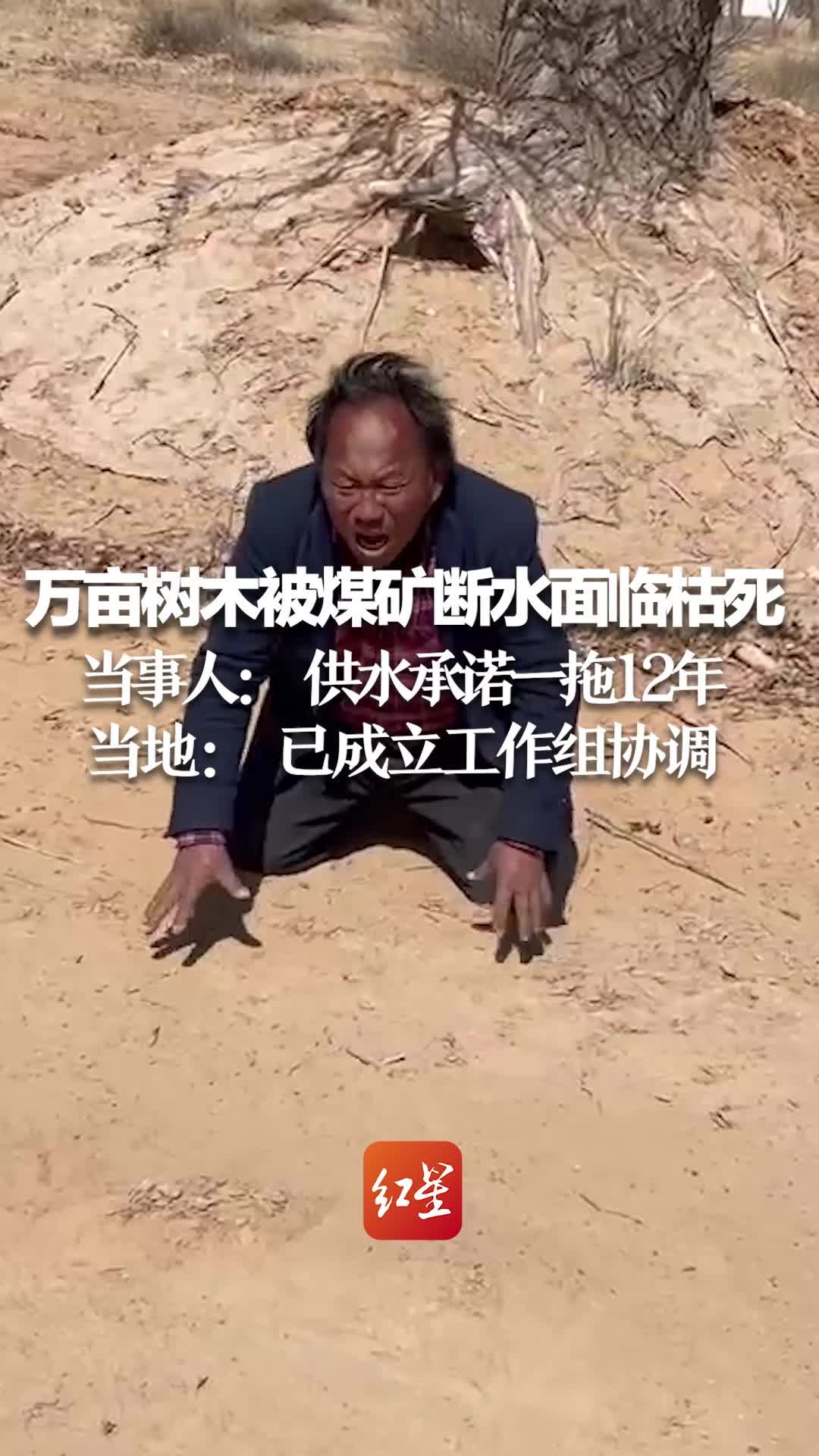 万亩树木被煤矿断水面临枯死，当事人： 供水承诺一拖12年。官方：已成立工作组协调