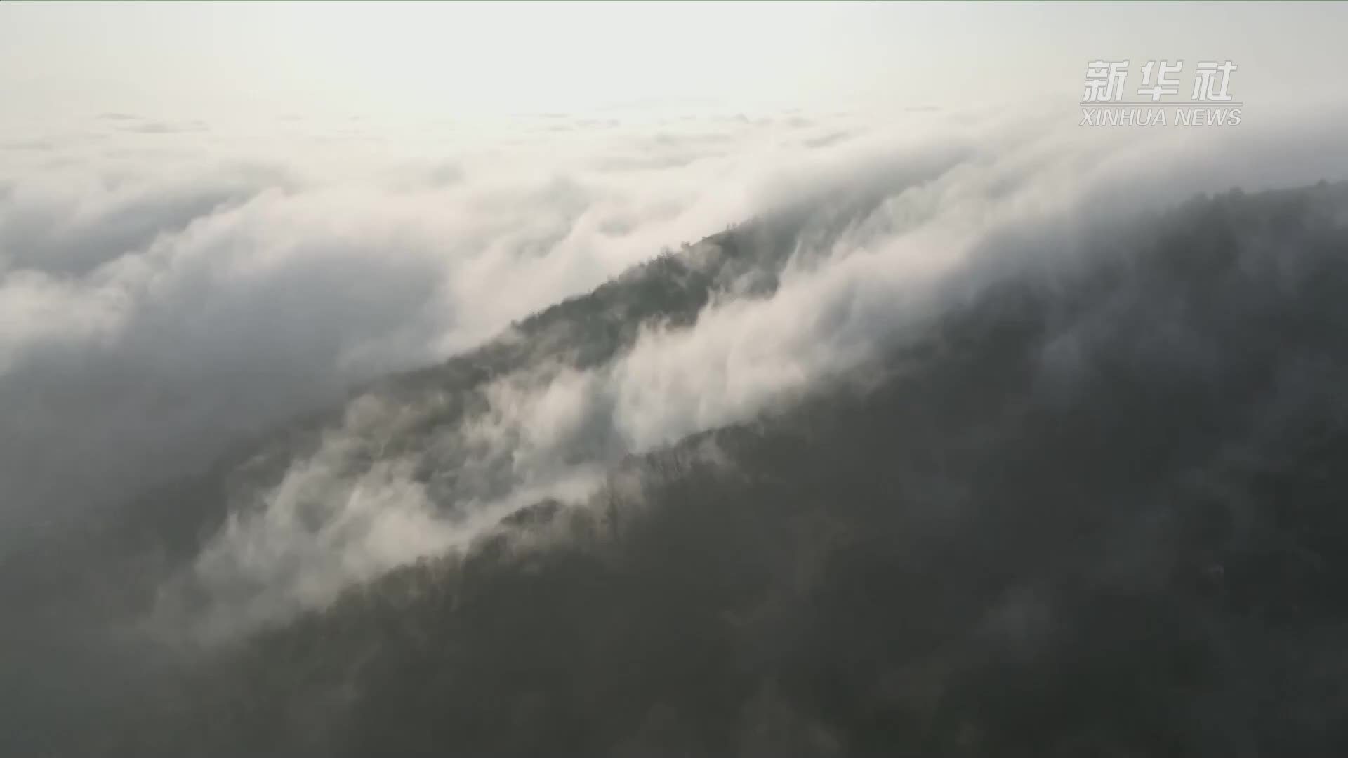 河南灵宝出现“云海瀑布”