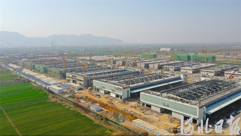 石家庄国际农产品批发交易中心1.jpg