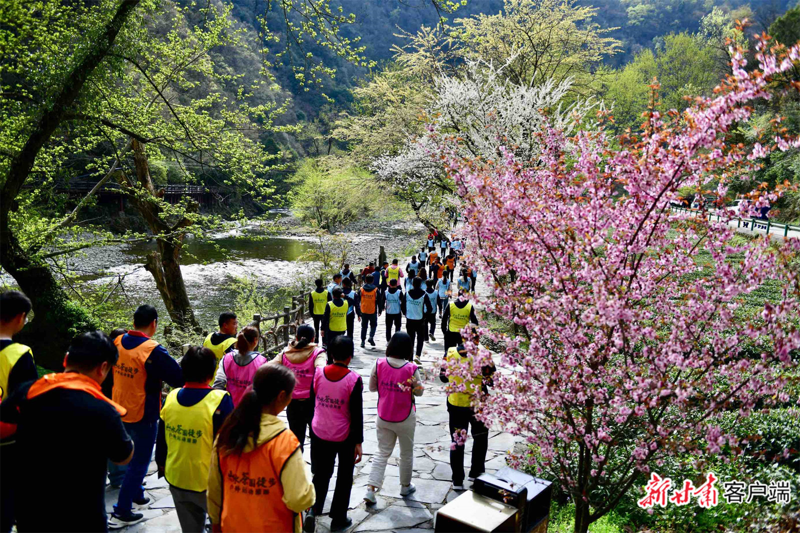 陇南市乡村旅游观摩现场