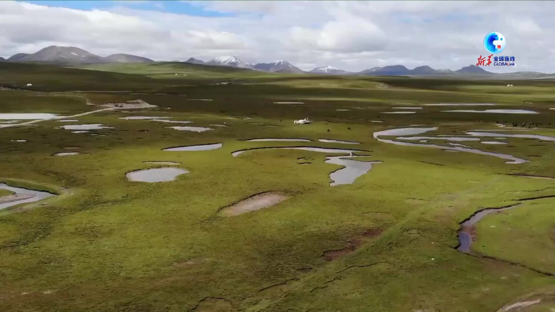 全球连线｜“中华水塔”水源涵养能力持续提升