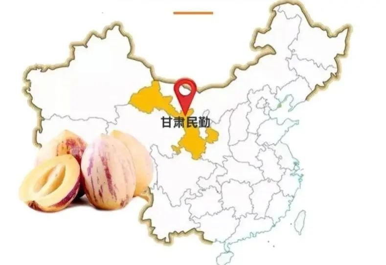 你不可以说：武威没有特产！