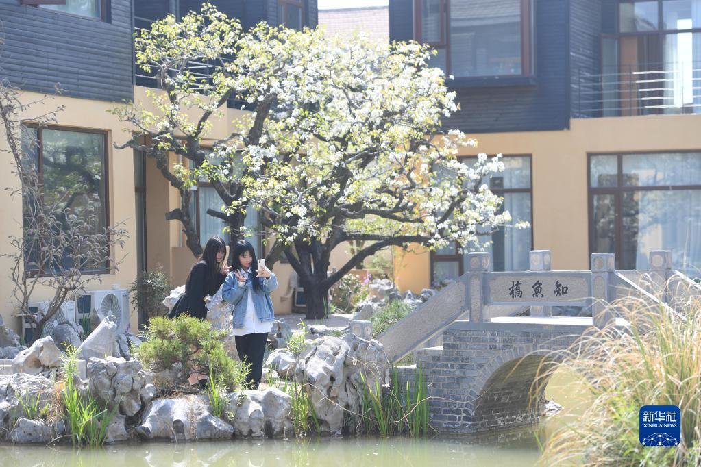 3月29日，游客在宁陵县万亩梨园景区拍照留念。新华社记者 张浩然 摄