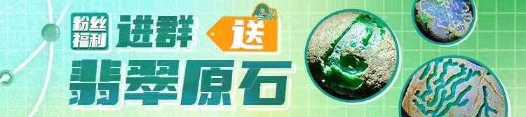 佛山50公里徒步|三水线4万人一路向前,迎春风感受美丽佛山