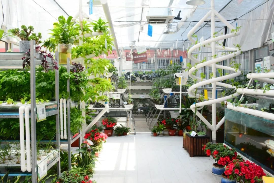 又一“国字号”荣誉!云龙区智慧校园建设再领先