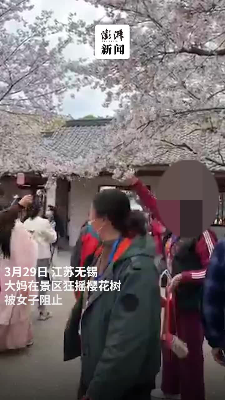 大妈为了拍照狂摇樱花树，热心女子阻止