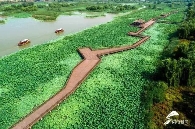 图/依托黄河的水资源和生态优势，淄博高青县蓑衣樊村成为新晋网红打卡地