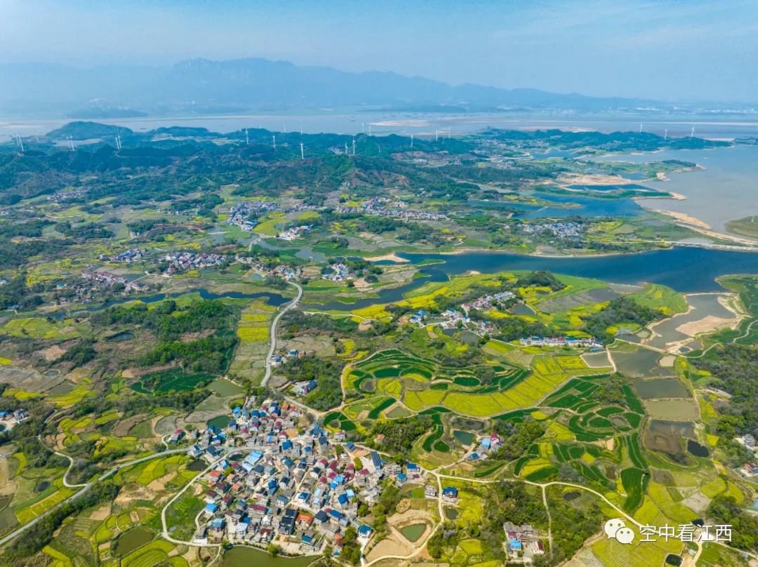 鄱阳湖湿地春景（图）