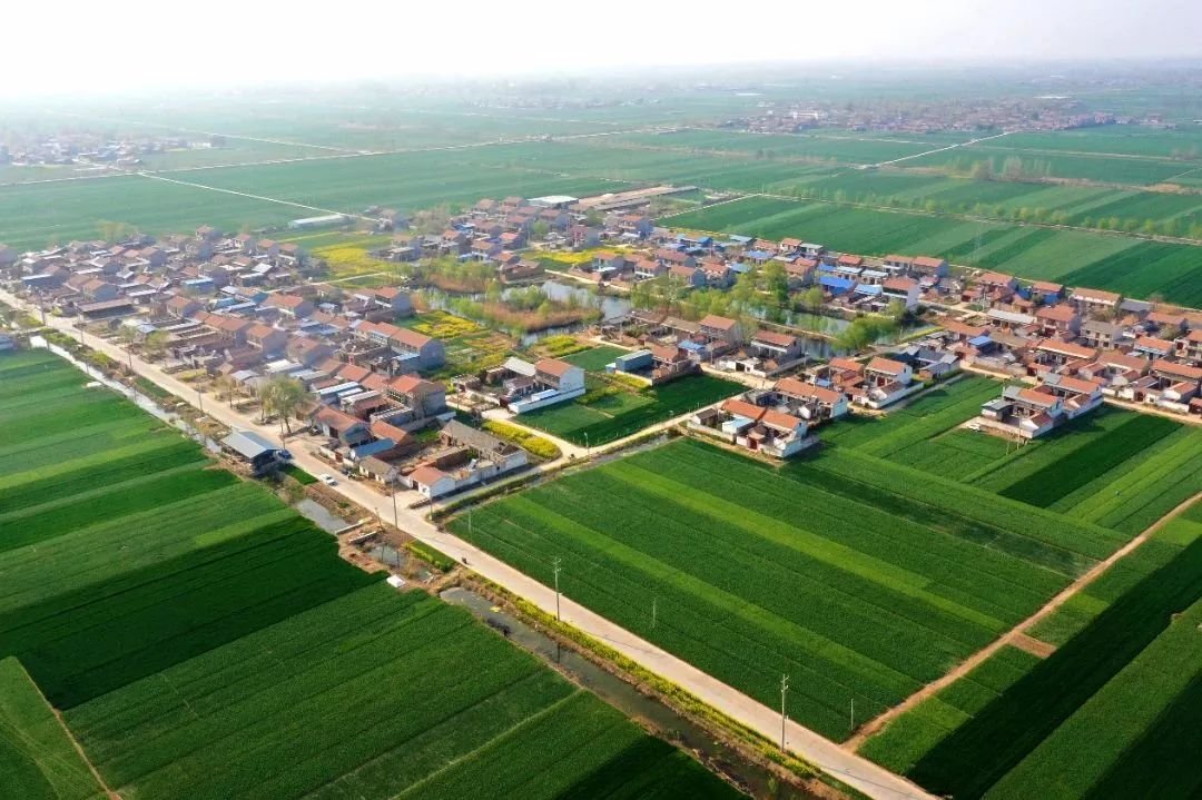 丰县：小路灯照亮村民出行“幸福路”凤凰网江苏_凤凰网