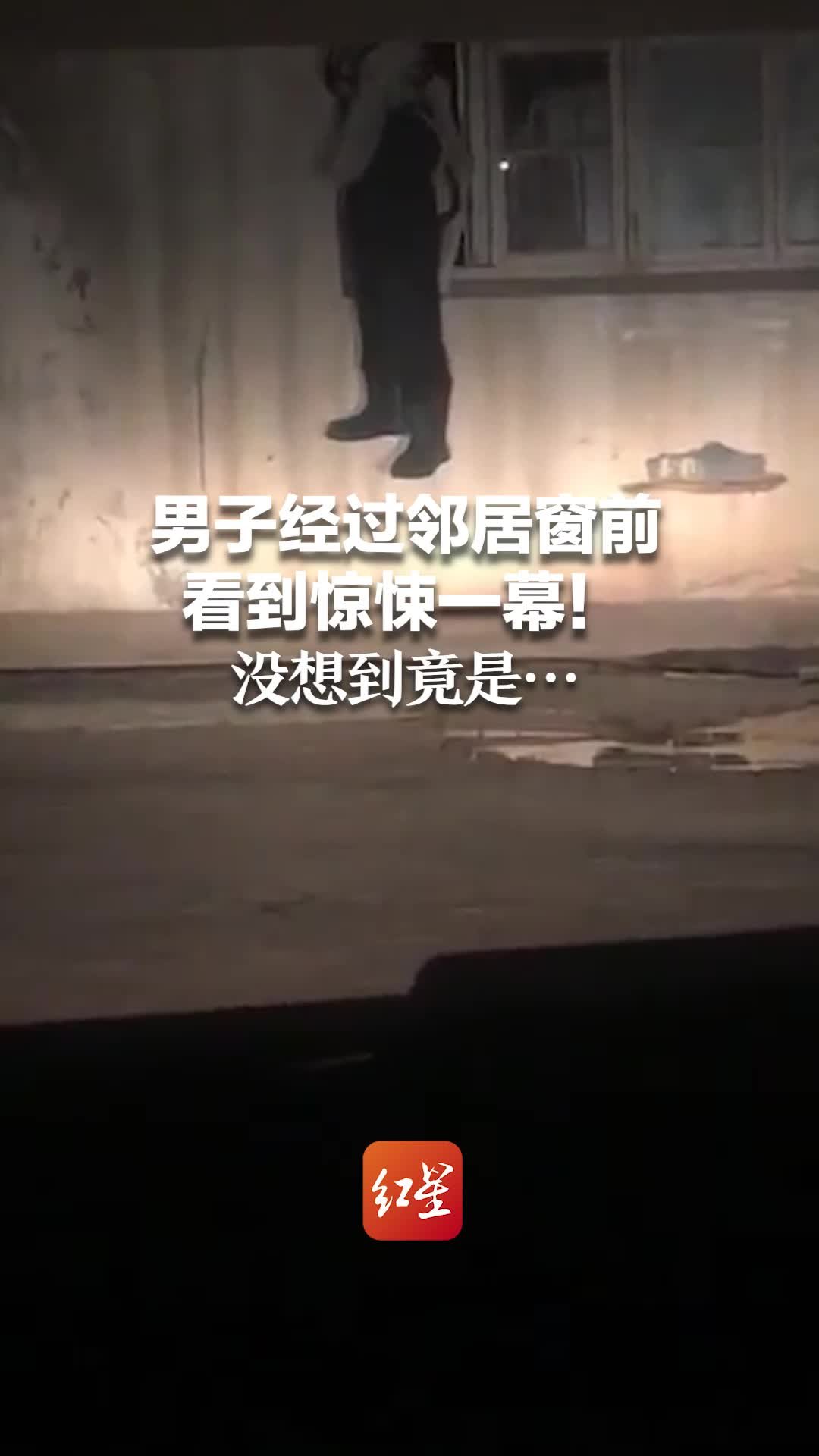 男子经过邻居窗前看到惊悚一幕！没想到竟是…