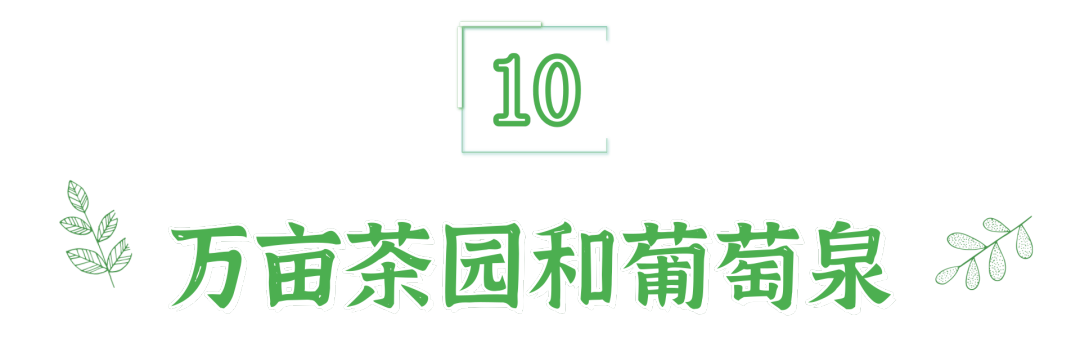 悠游古今 在山水茶韵中寻味滁州！