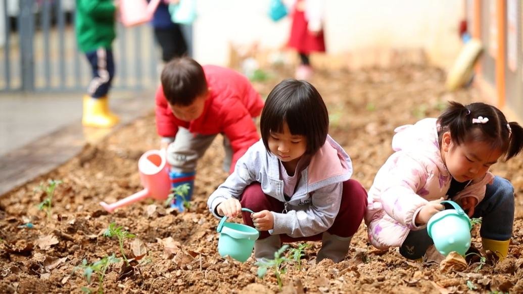 食物从哪里来？武汉一幼儿园开辟菜园给孩子种瓜点豆