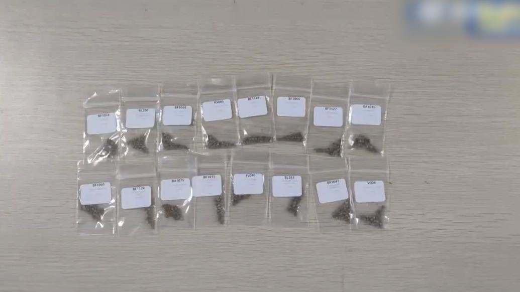 深圳邮局海关查获大麻种子400颗