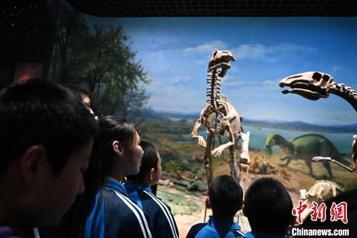 呼和浩特特殊教育学校学生“赴博物院的春天之约”