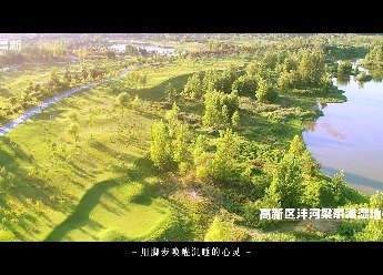 西安高新区春始新生