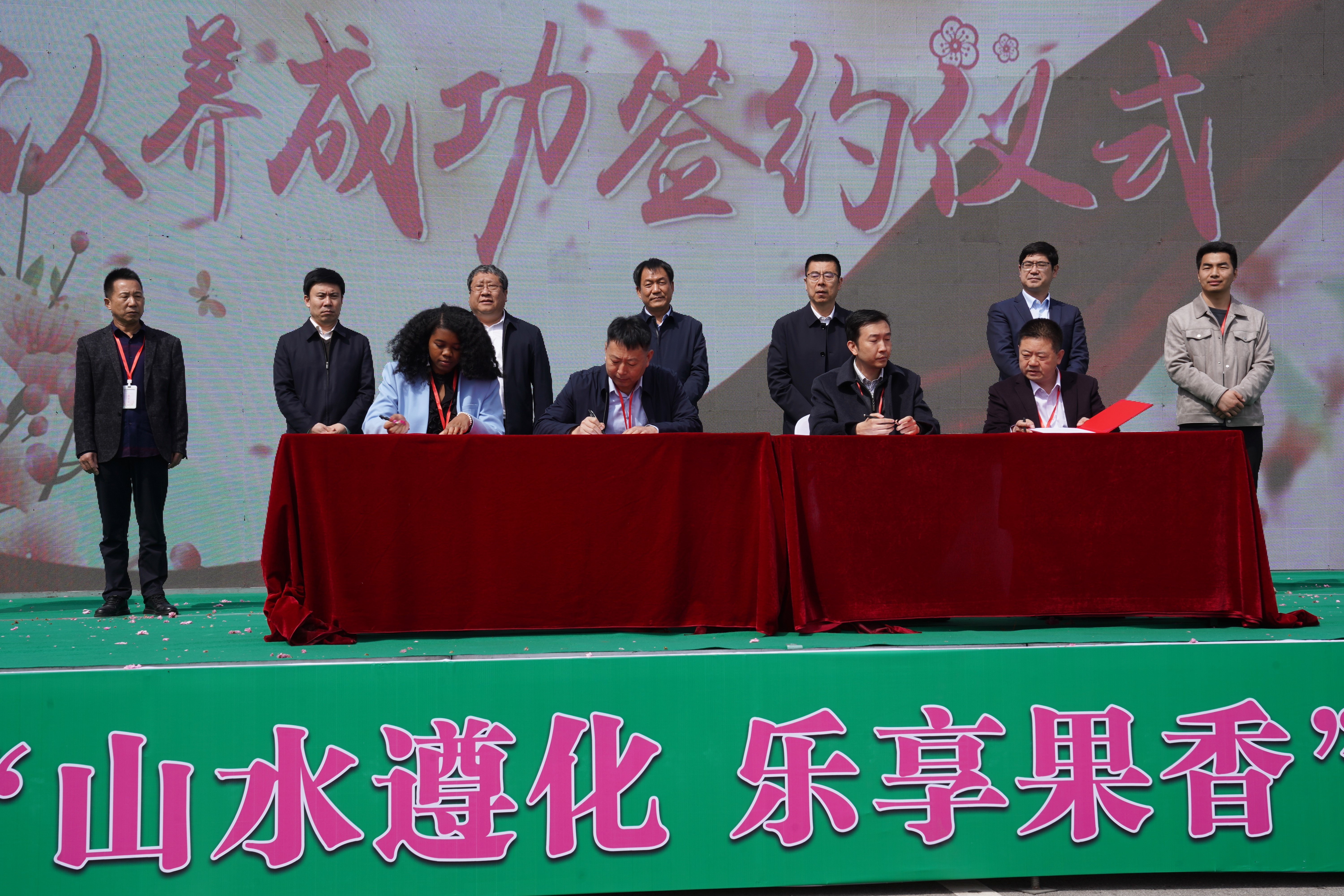 活动现场签约古树认养协议 摄影：徐志刚