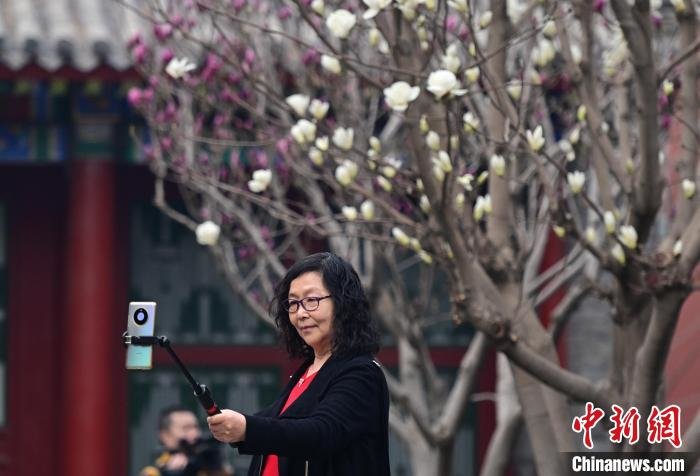 图为沈阳故宫博物院花开吸引大量游客。　于海洋 摄