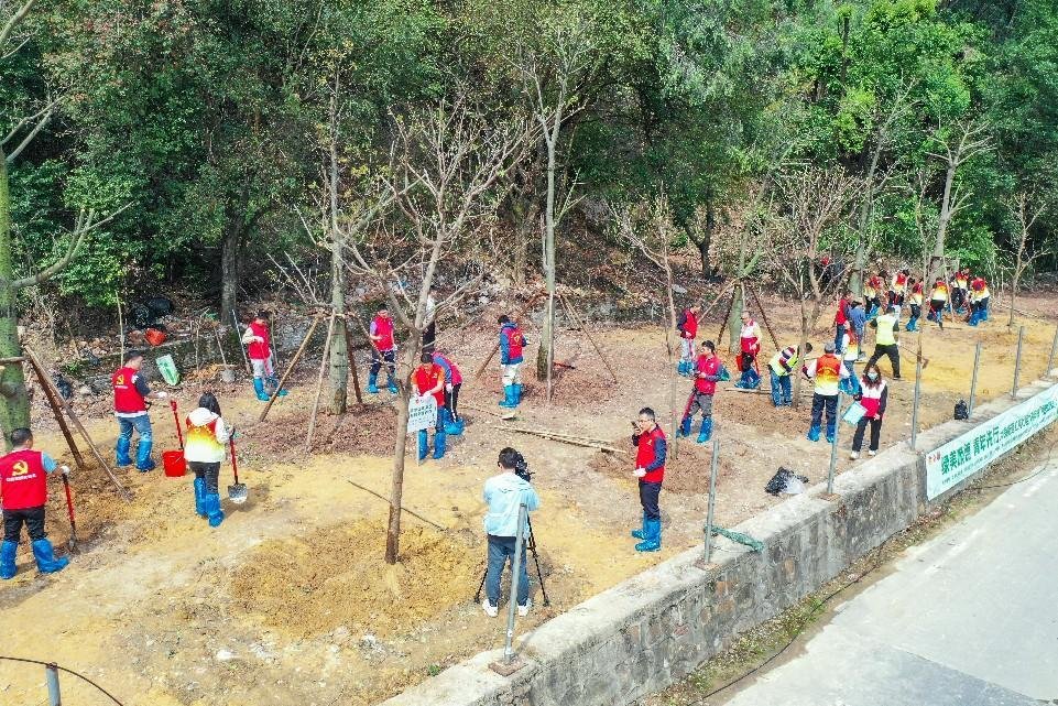 大良红岗社区举办“青年林”植树活动