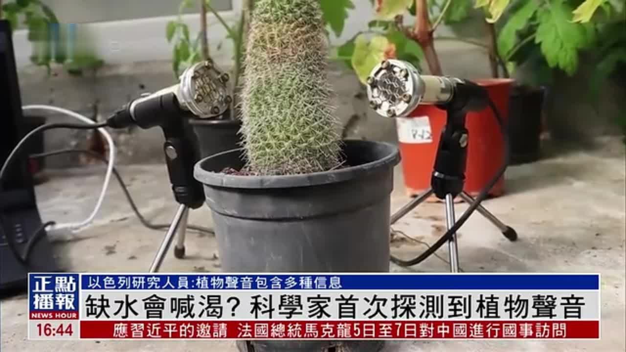 缺水会喊渴？科学家首次探测到植物声音