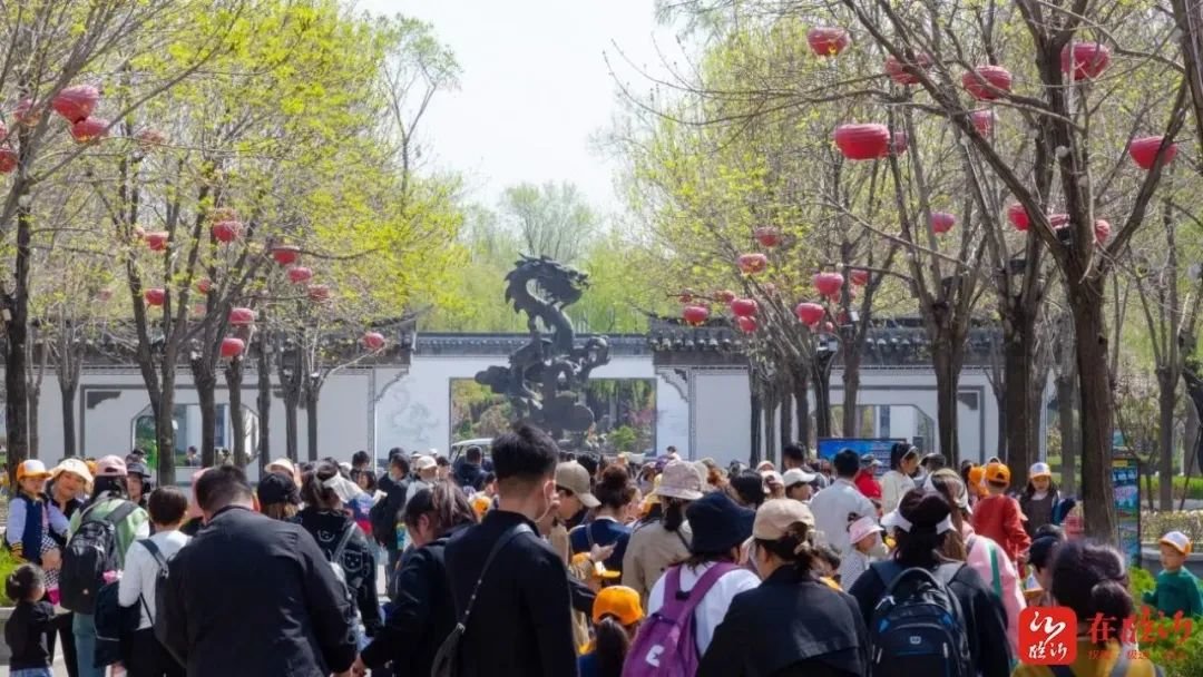 临沂：文旅市场迎来“春暖花开” “研学游”成为新的经济增长点