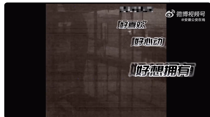 安徽界首：男子深夜翻墙爬楼盗走信鸽