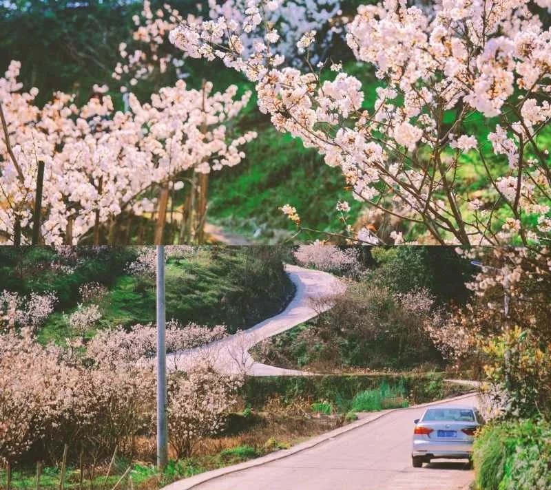 图|携程社区@大圆仔