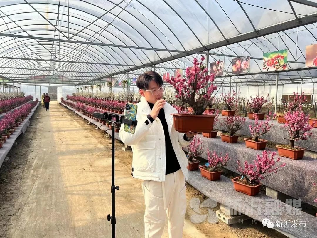 一乡一业、一村一品！新沂聚焦“精、特、品”农业产业发展