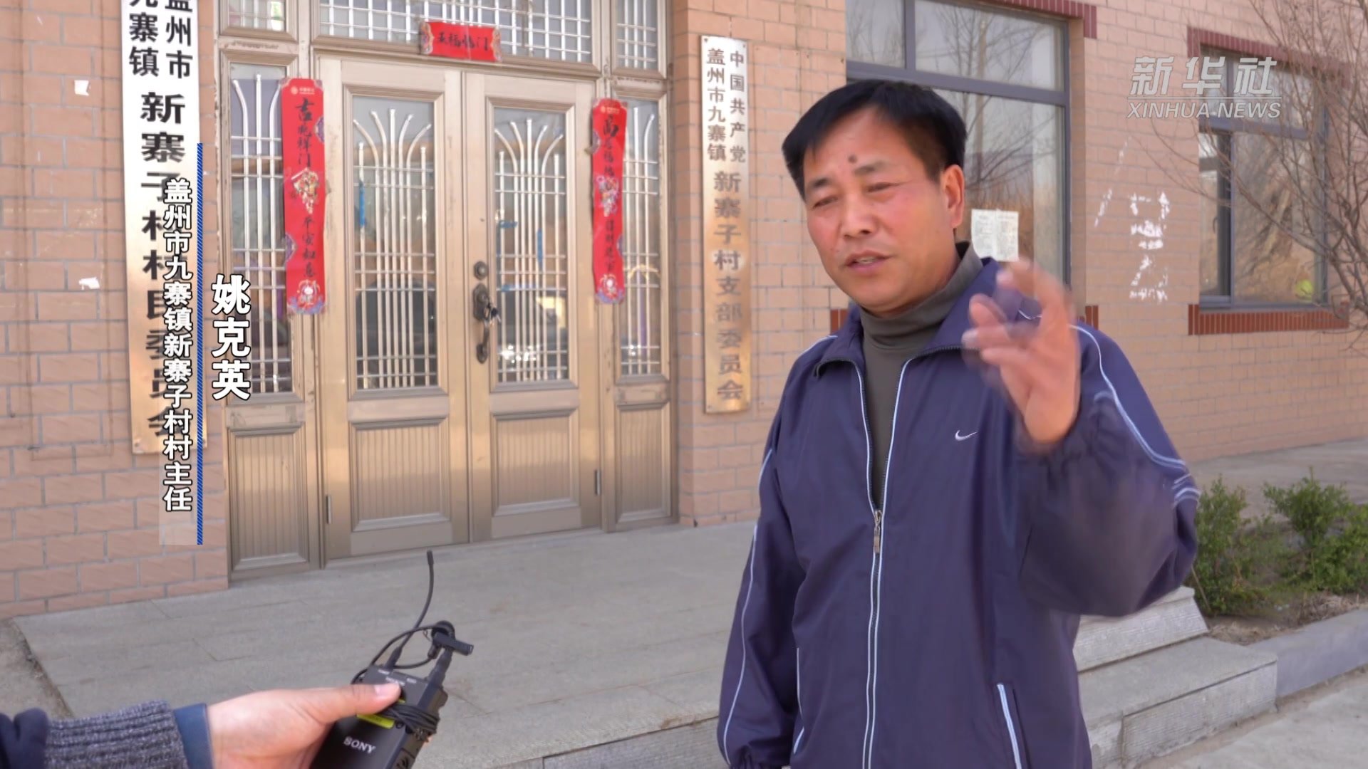 东北小山村种出特色果