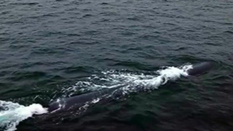 朝中社：朝鲜成功试验水下战略武器系统