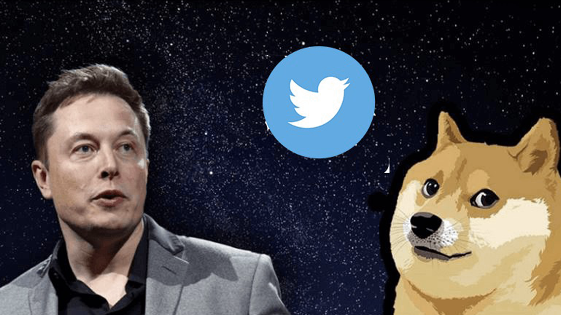 马斯克将Twitter图标换成柴犬，狗狗币价格应声飙升超30%