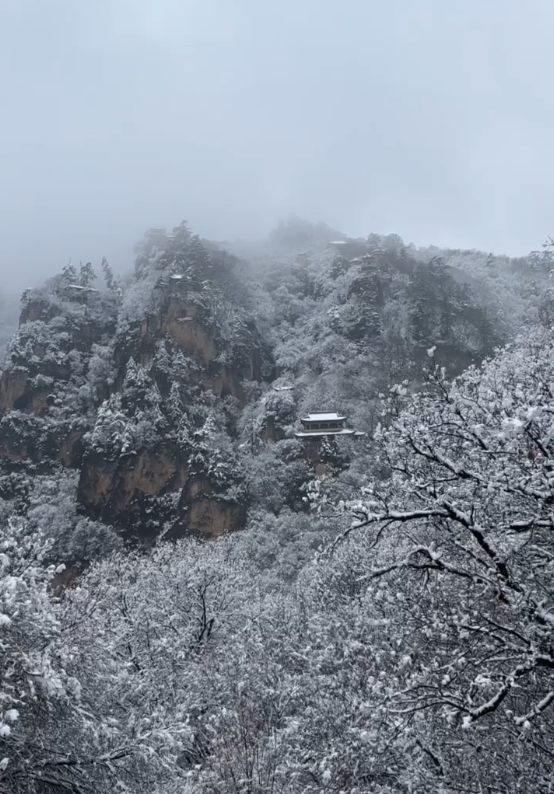 崆峒山的桃花雪：雪中赏花 花间看雪